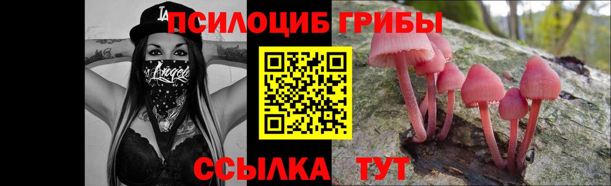 Галлюциногенные грибы Psilocybine cubensis Еманжелинск